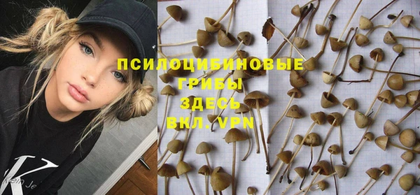 дмт Алзамай