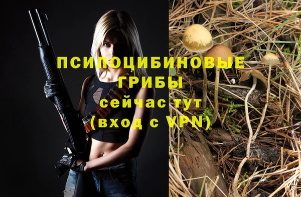 дмт Алзамай