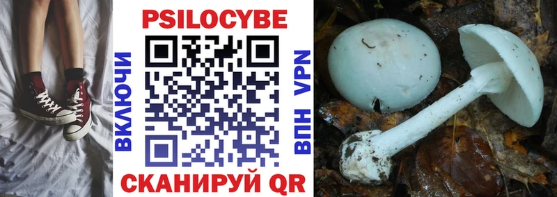 mega вход  Кыштым  Галлюциногенные грибы GOLDEN TEACHER  купить закладку 